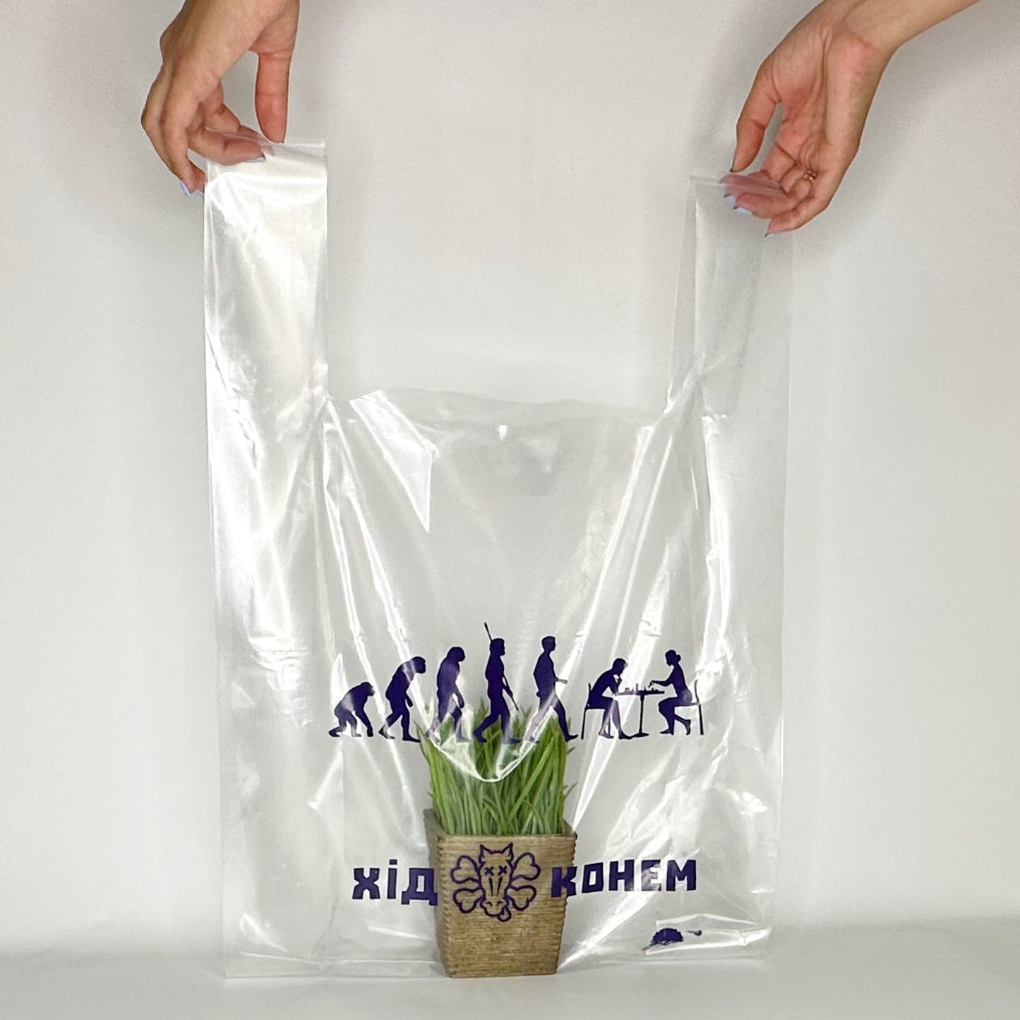 T-shirt bag with a logo 30х14х50cm (11.8x5.5x19.6in) Transparent