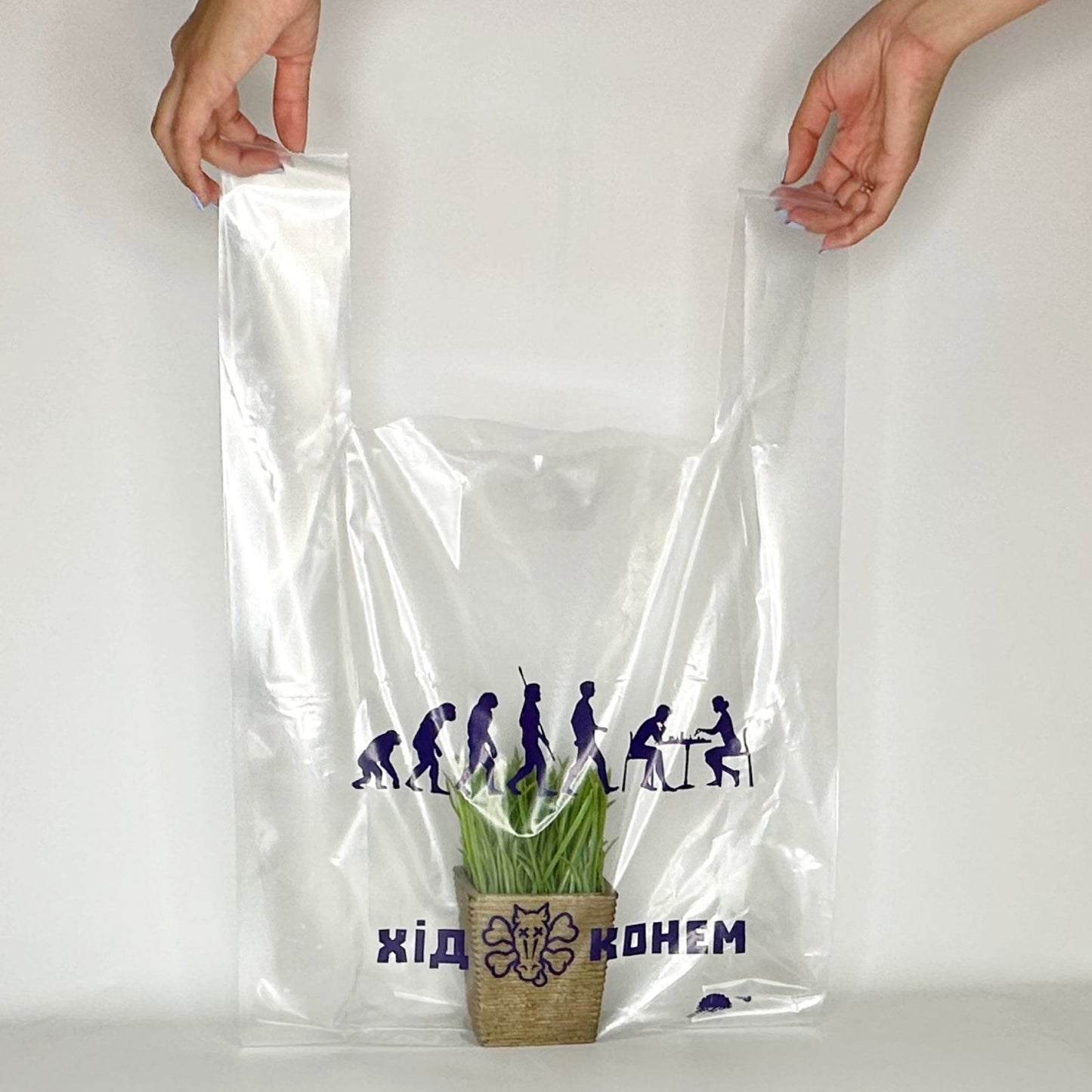 T-shirt bag with a logo 30х14х50cm (11.8x5.5x19.6in) Transparent